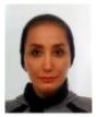 MEHRI HOSSEIN POWR